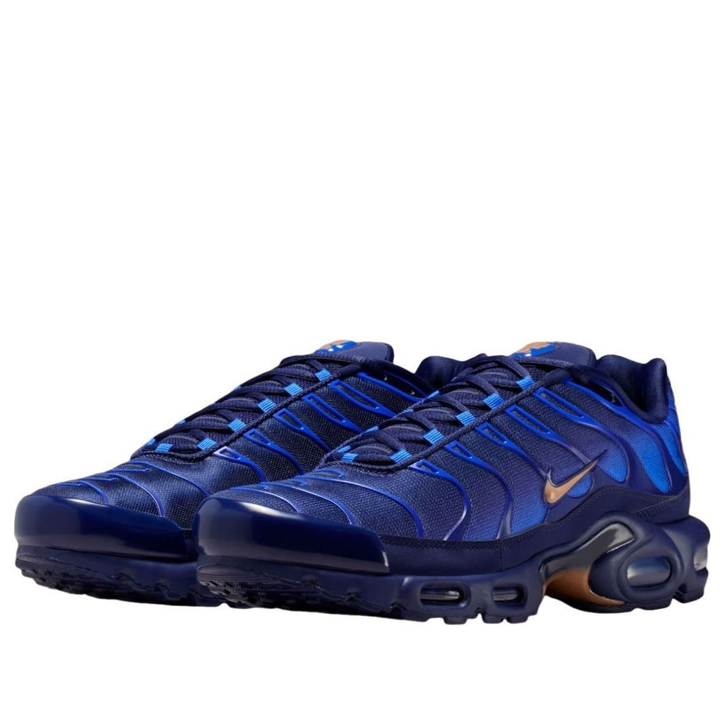 Nike Air Max Plus 'French Football Federation' | Style No. IQ0170-400